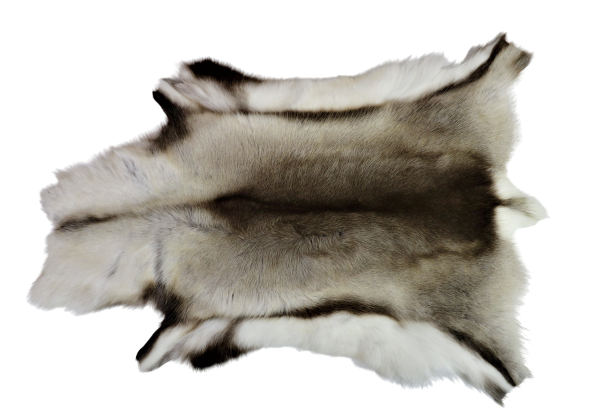 Reinskinn